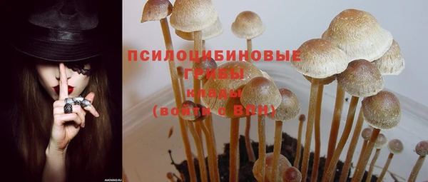 герыч Семилуки