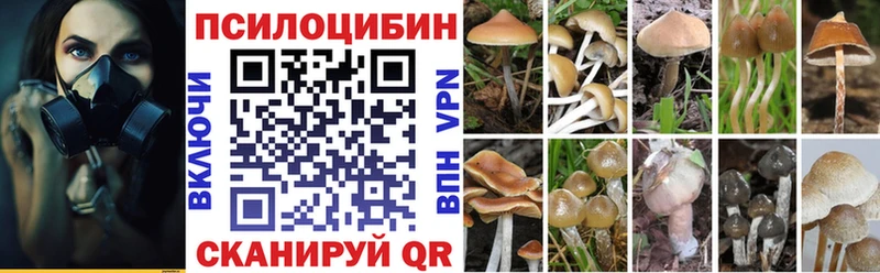 Галлюциногенные грибы MAGIC MUSHROOMS  Хотьково 